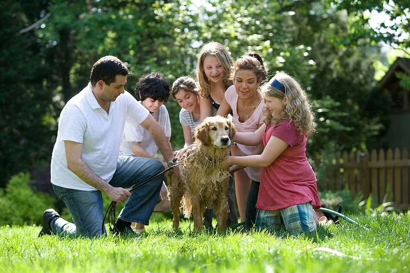 5 Best Canon Cameras for Family Photography