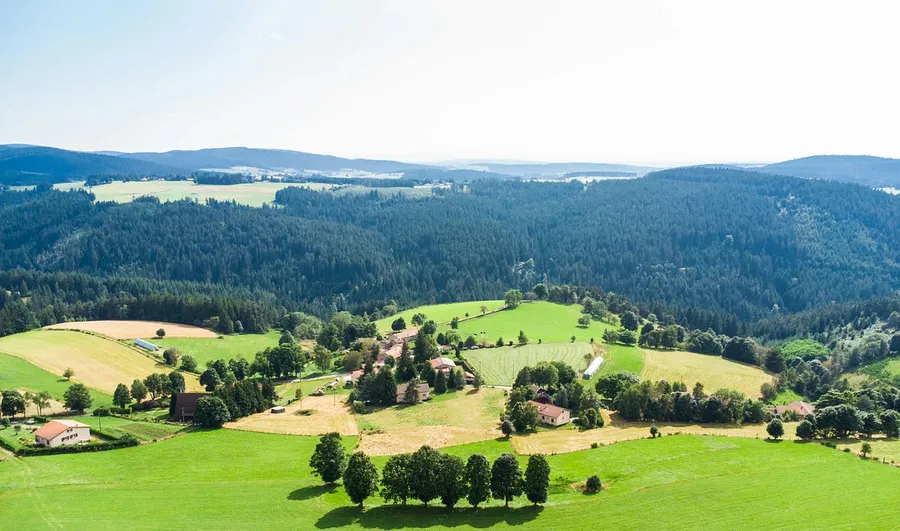 Forest Landscape photography