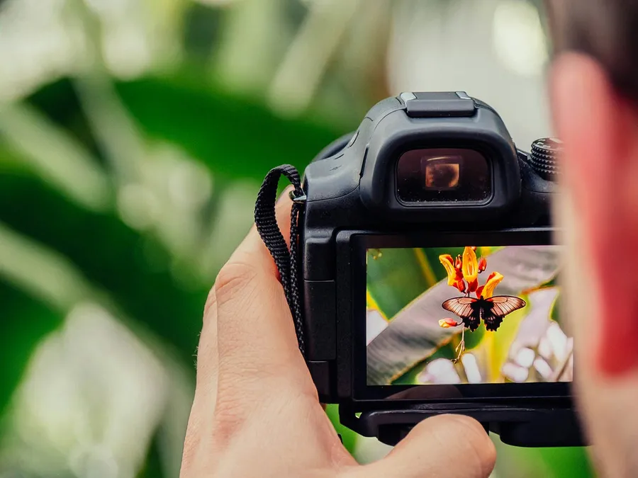 6 Best DSLR Camera for Outdoor Photography: (Guide & Reviews)
