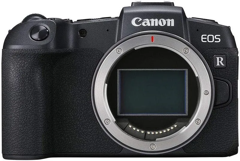 6 Best starter camera for wildlife photography: (2024 Guide & Reviews)