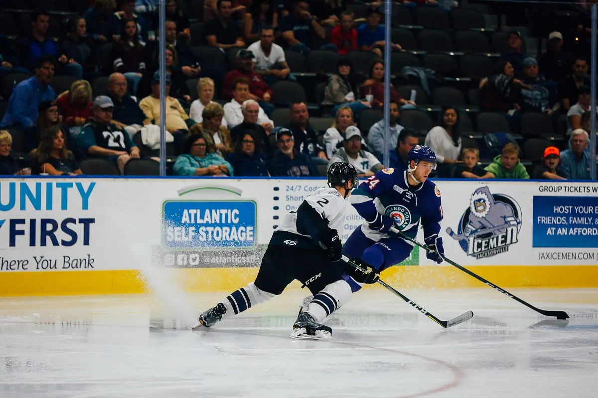 Best Camera for Ice Hockey Photography