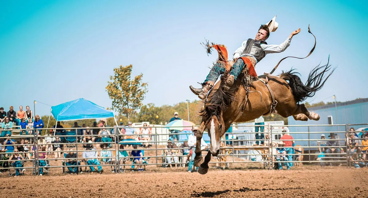 Best Camera for Rodeo Photography