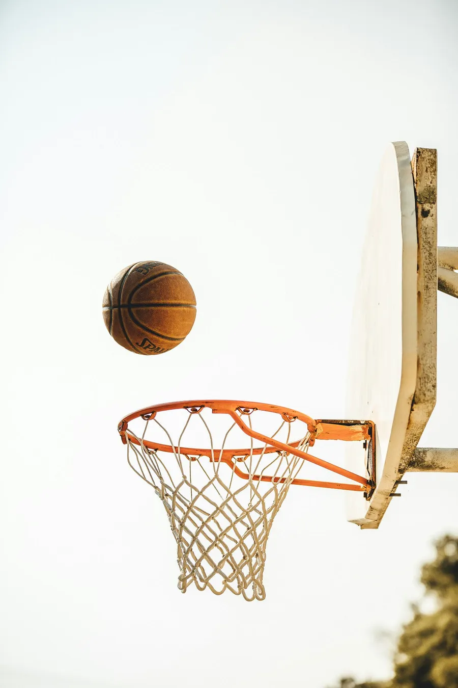 Best Camera for Sports Photography Under $1,000