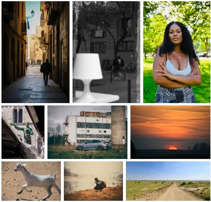 Best Camera for Stock Photography
