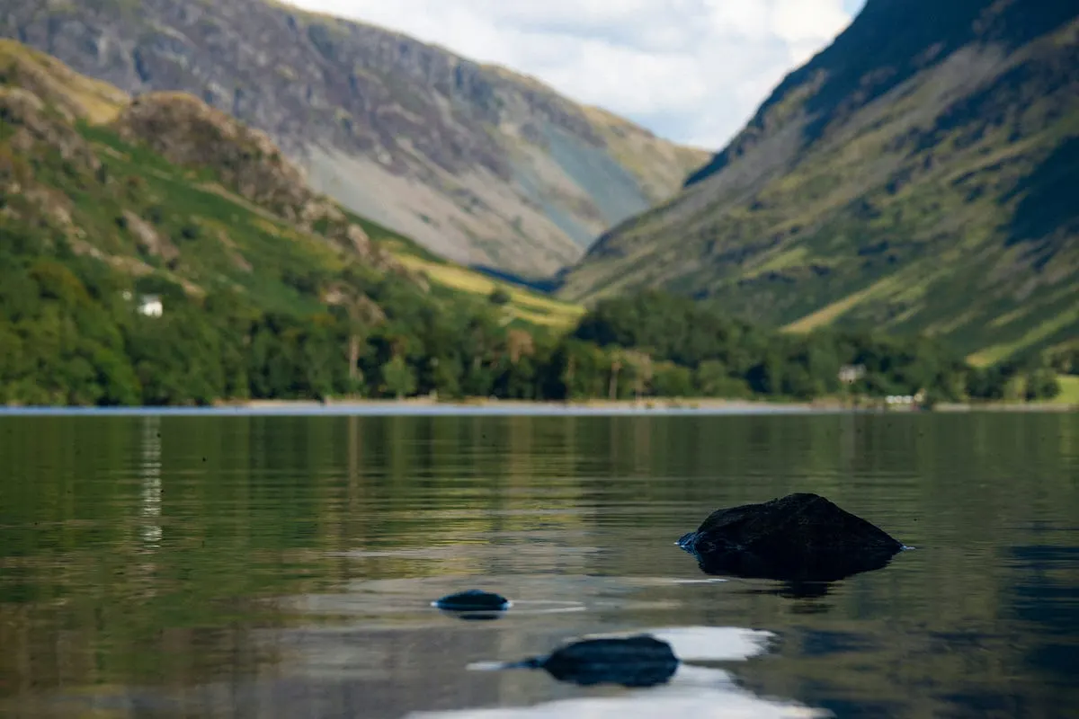 Best Cameras for Nature Photography in 2026