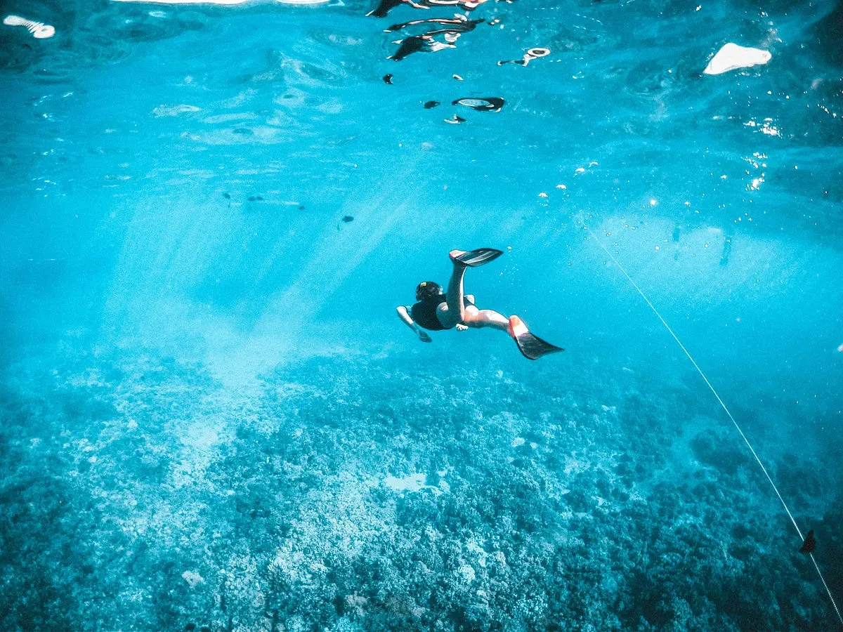 Best Cameras for Snorkeling
