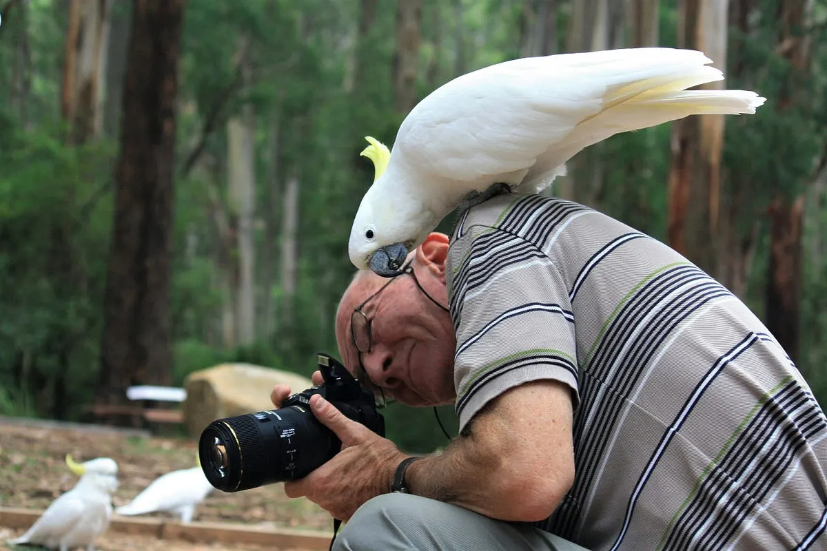 Best Compact Camera for Bird Photography