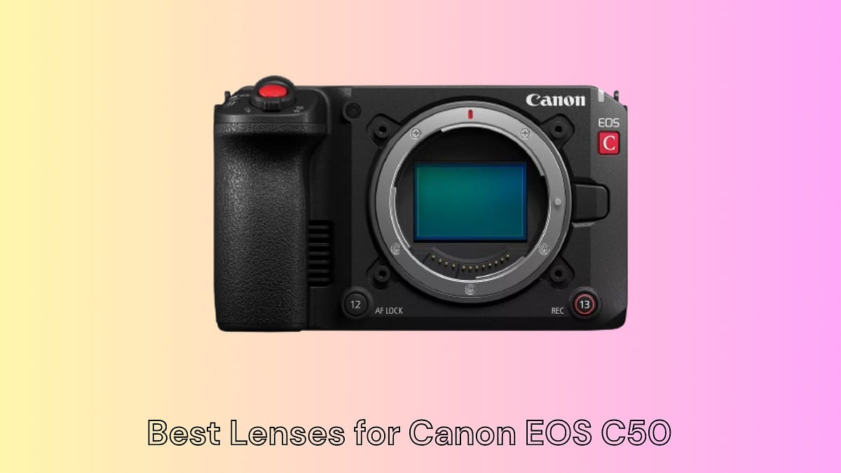 Best Lenses for Canon EOS C50