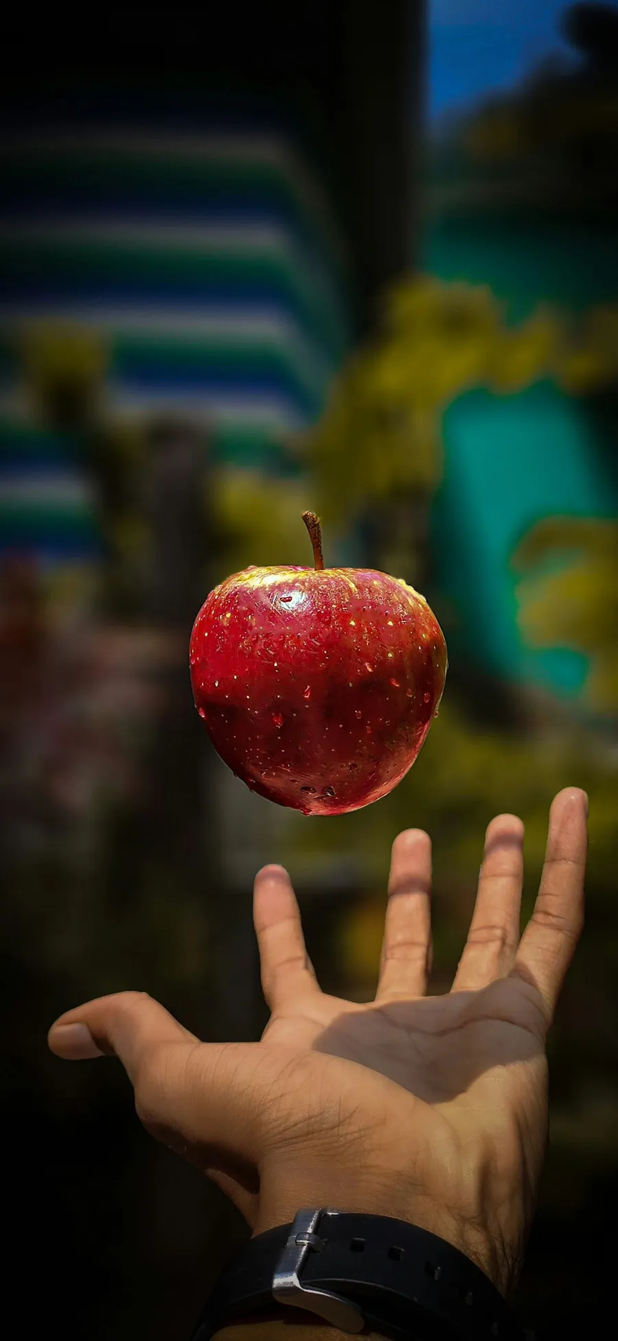 creative photography