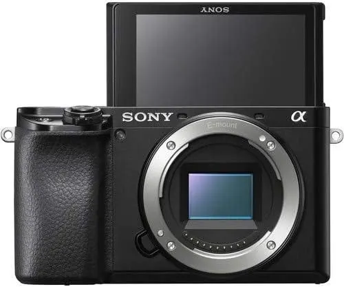 Best Sony Camera for a Beginner on a Budget