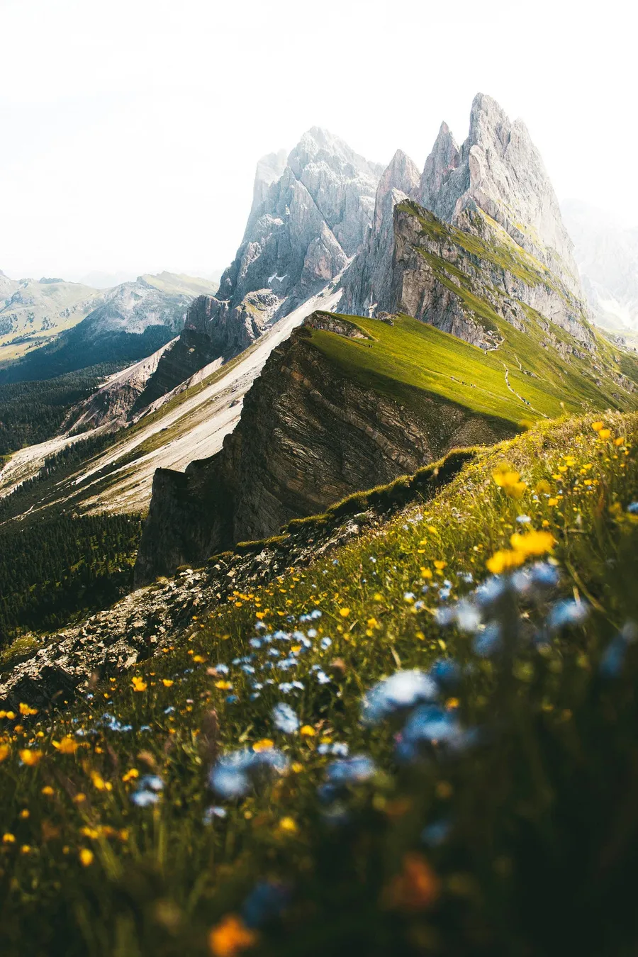 landscape tour