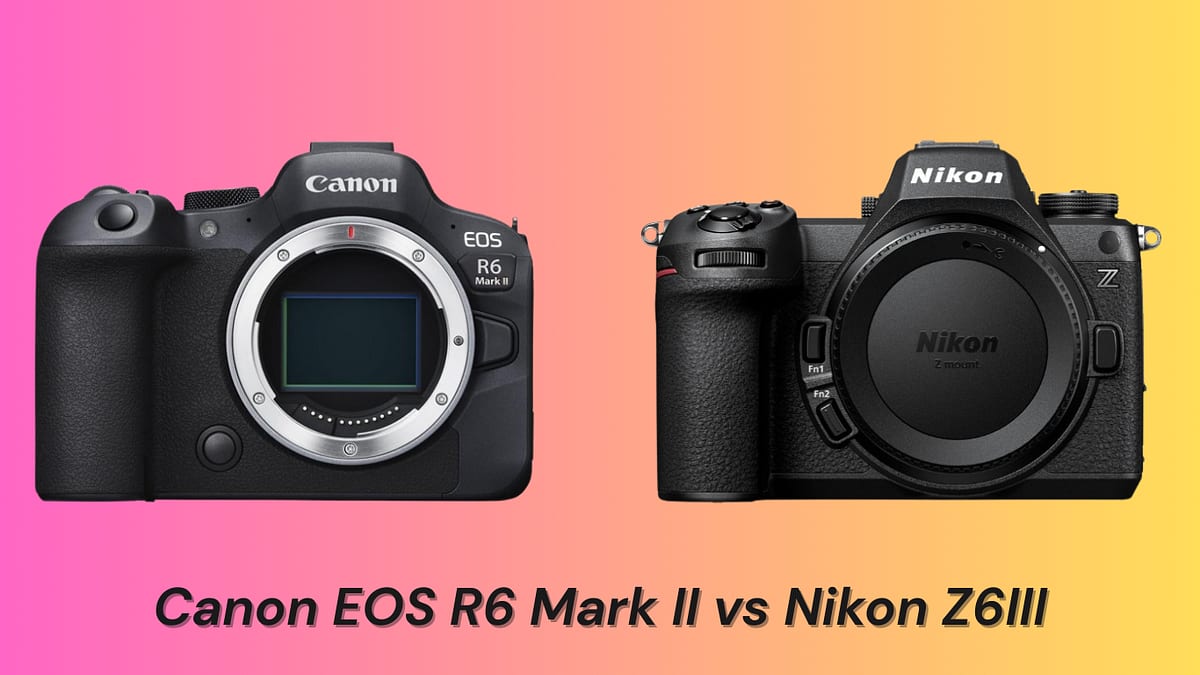 Canon EOS R6 Mark II vs Nikon Z6III
