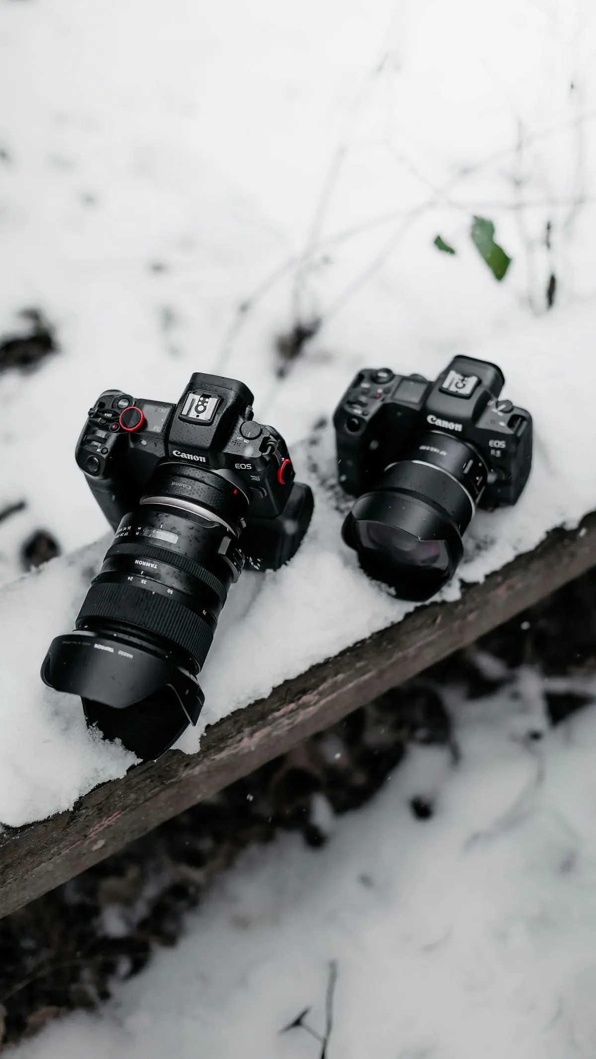 Mirrorless vs DSLR for Beginners