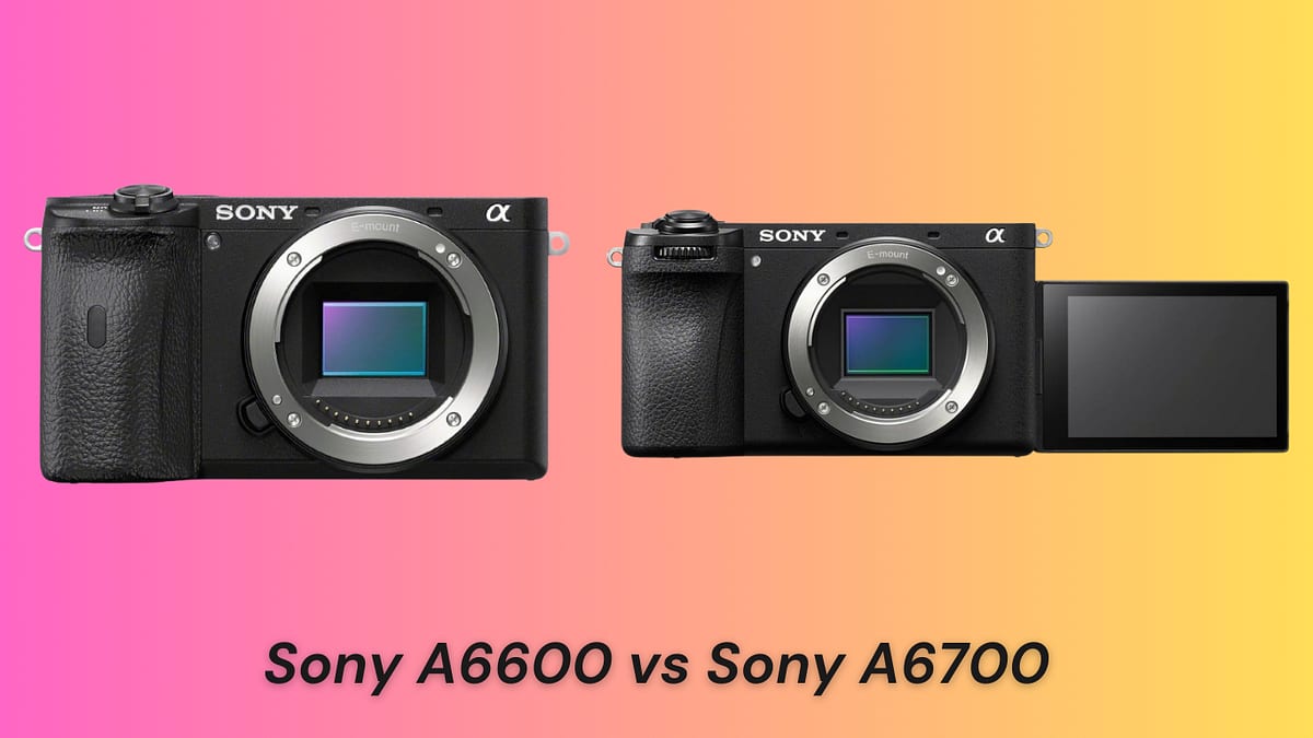 Sony A6600 vs A6700