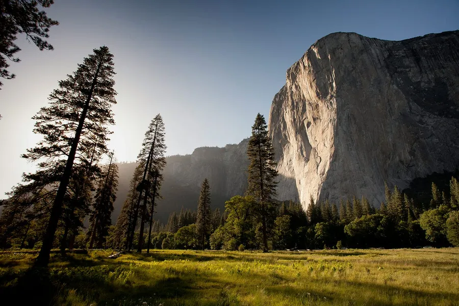 The One X-T5to Rule My X-T5: A Photographer’s Journey to Finding “The One”